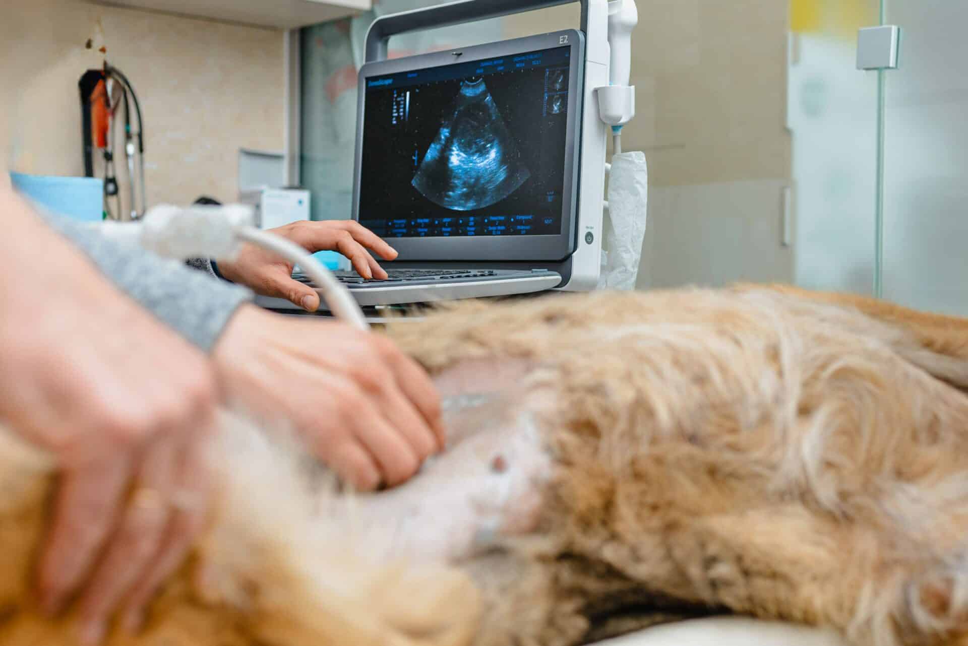 Comprehensive Diagnostic Services