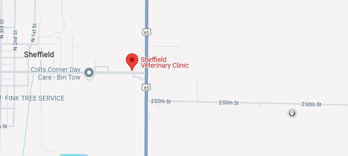 Location Map Image