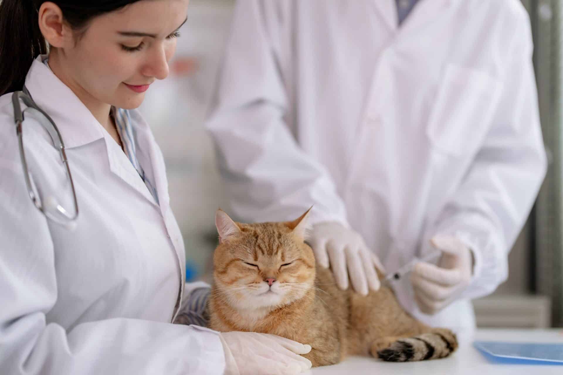 Vaccinations