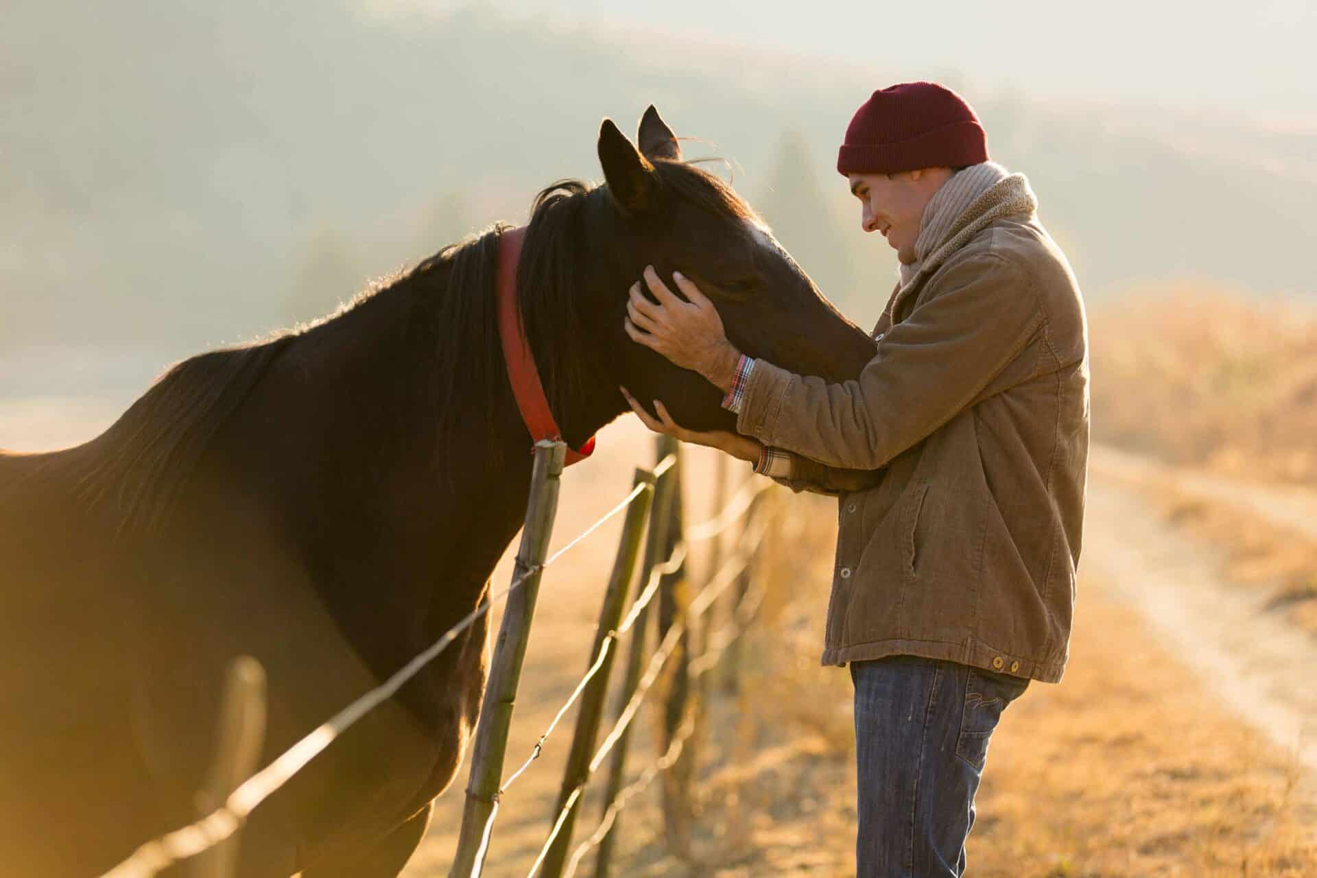 What Pet Owners and Farmers Say About Us
